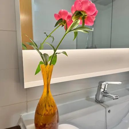 Apartment Labarbara -recien Reformado